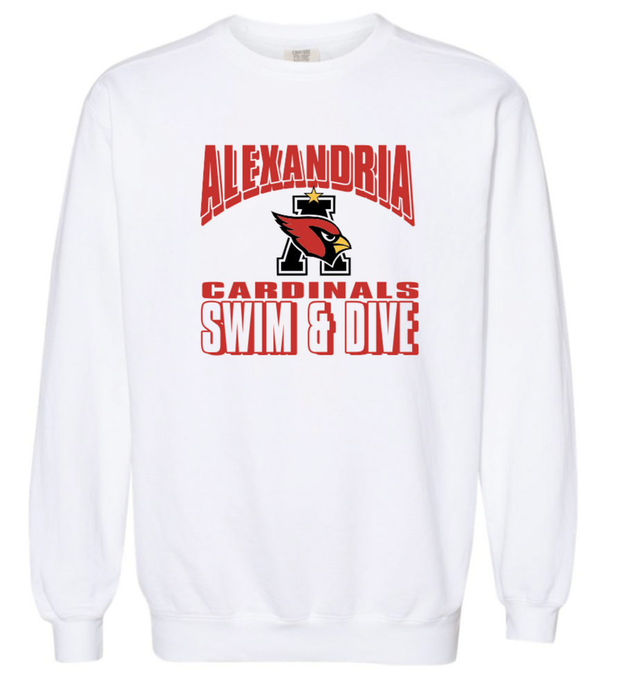 CARDINALS Garment Dyed Crewneck