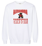 CARDINALS Garment Dyed Crewneck