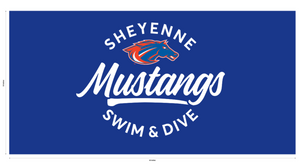 MUSTANGS Sublimated Beach Towel (Personalized)