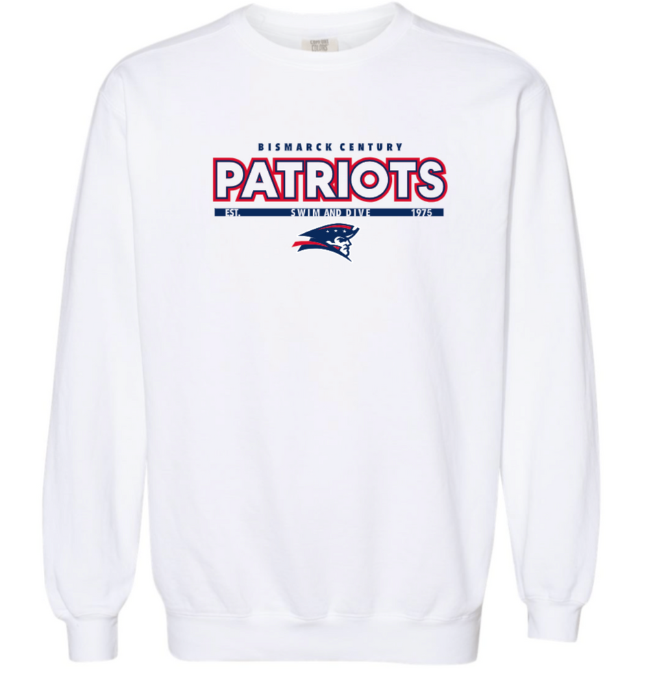 PATRIOTS' Garment Dyed Crewneck