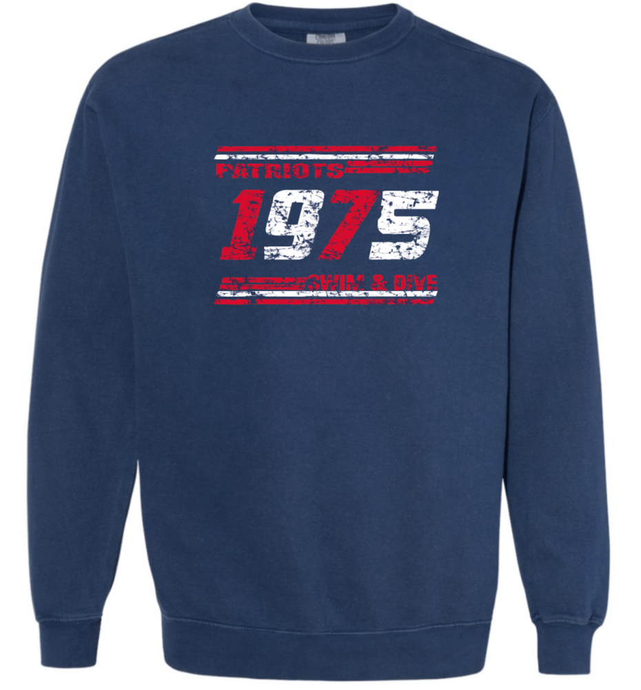 PATRIOTS' Garment Dyed Crewneck (Distressed Design)