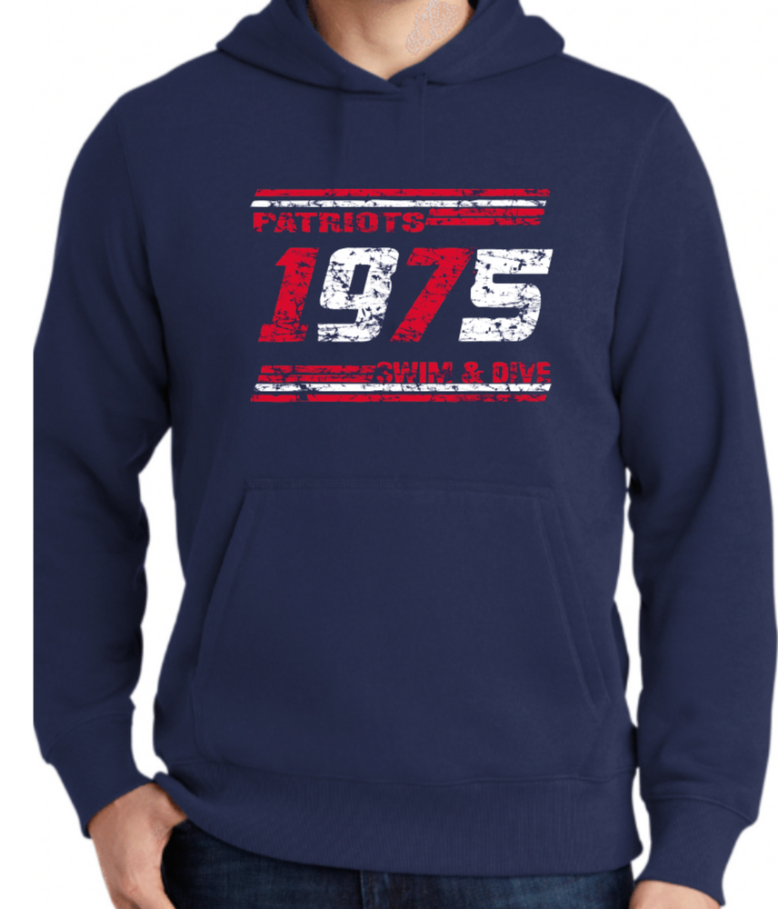 PATRIOTS' 65/35 Cotton/Poly Hoodie (Distressed Design)