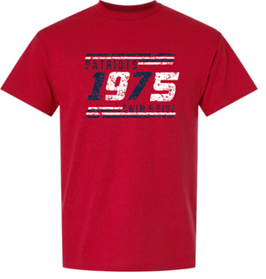 PATRIOTS Cotton/Poly Short Sleeve Tee (Distressed Design)