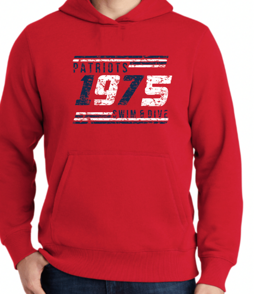 PATRIOTS' 65/35 Cotton/Poly Hoodie (Distressed Design)