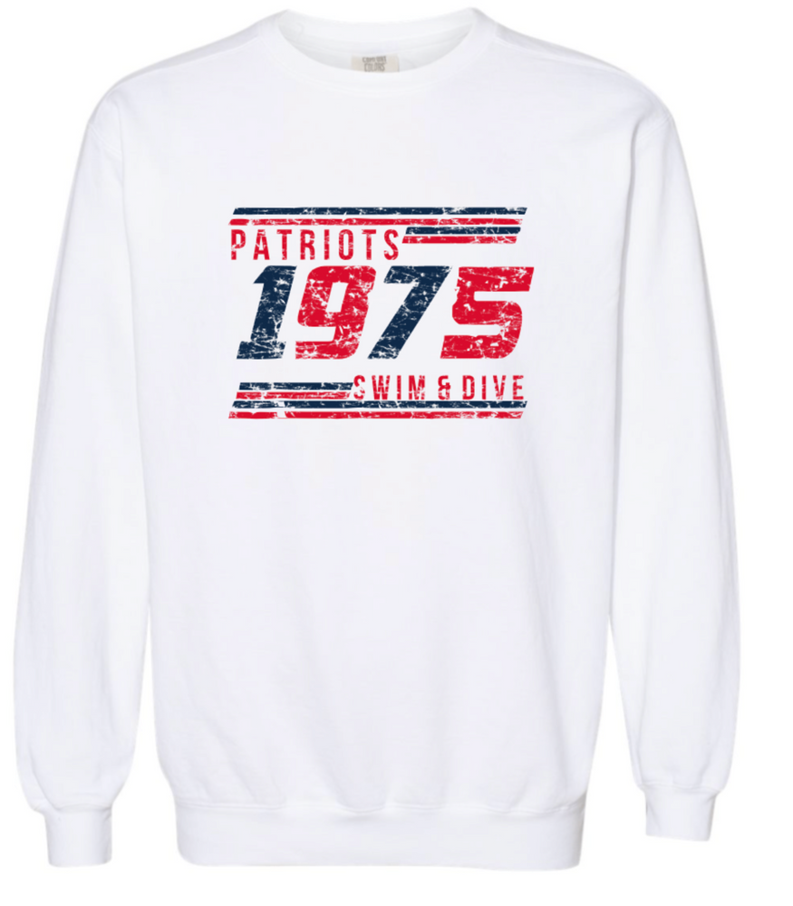 PATRIOTS' Garment Dyed Crewneck (Distressed Design)