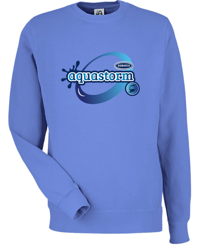 Pigment Dyed Fleece Crewneck (DESIGN 2)
